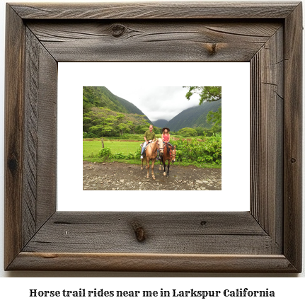 horse trail rides near me in Larkspur, California